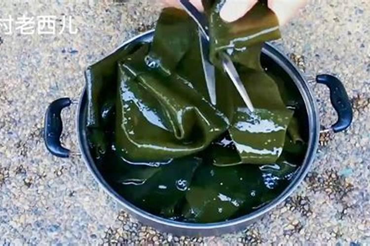 海藻肥料有什么特点？海藻肥料有什么功能？