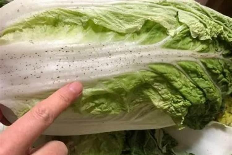 大白菜能用硝酸钾肥料做追肥吗