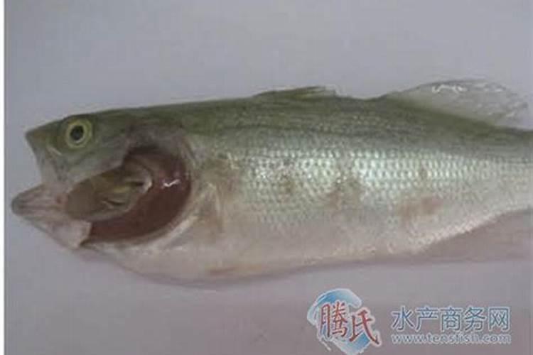 西瓜补钙加硼防裂吗