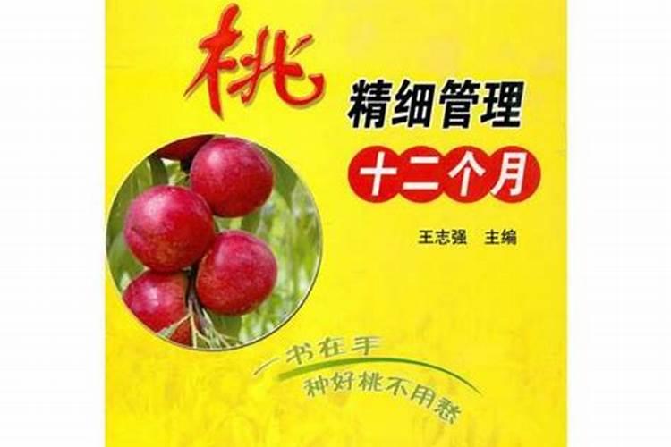 南方果树春季如何施肥,南方果树春季