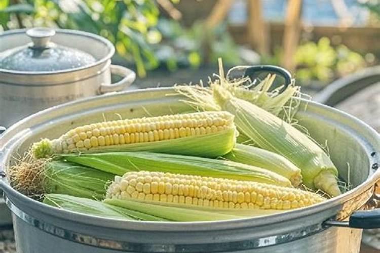 用玉米发酵过能否当肥料用