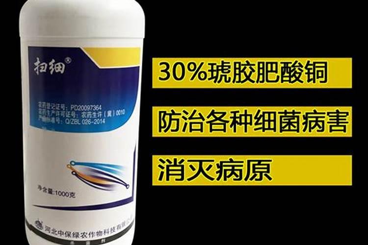 什么可以当养花肥料 养花的氮肥有哪些