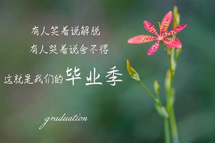 醋做叶面肥的比例和效果如何？