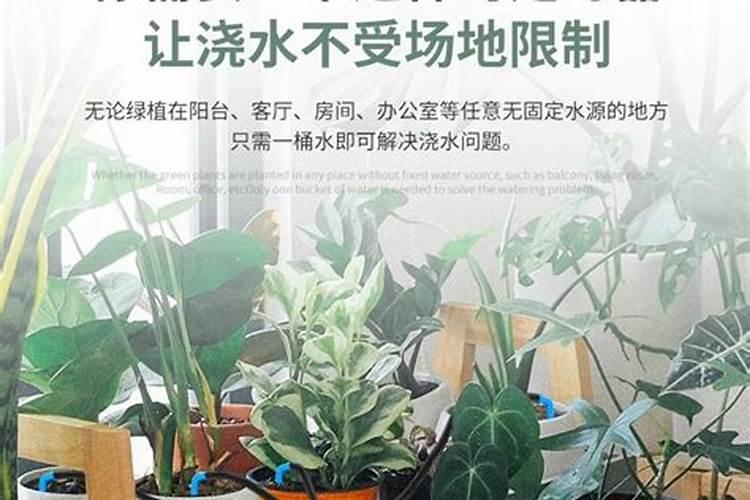 氨基酸水溶肥料的用法？
