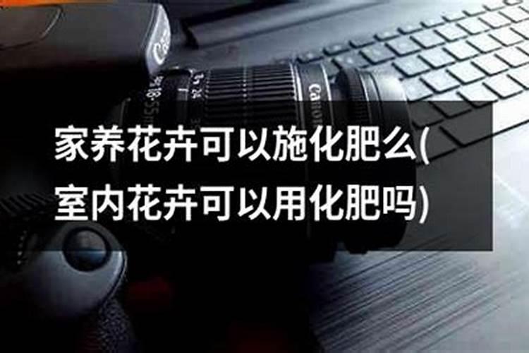给盆栽花草施肥,肥效好不好,哪几个位置很关键？