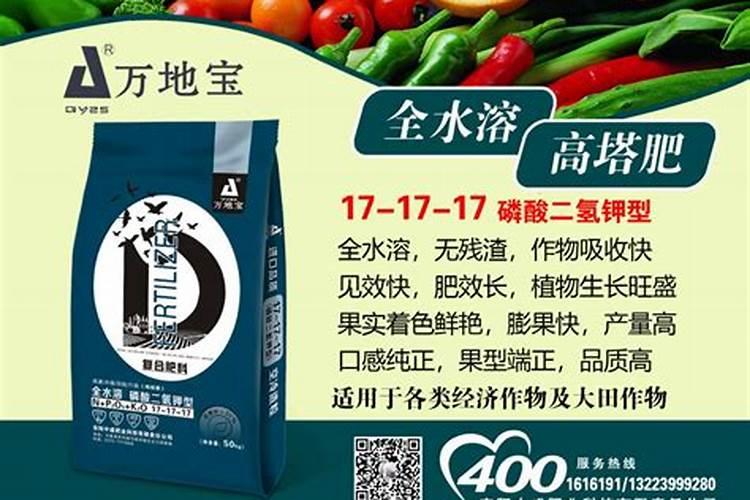 中国最大的氯化钾生产公司