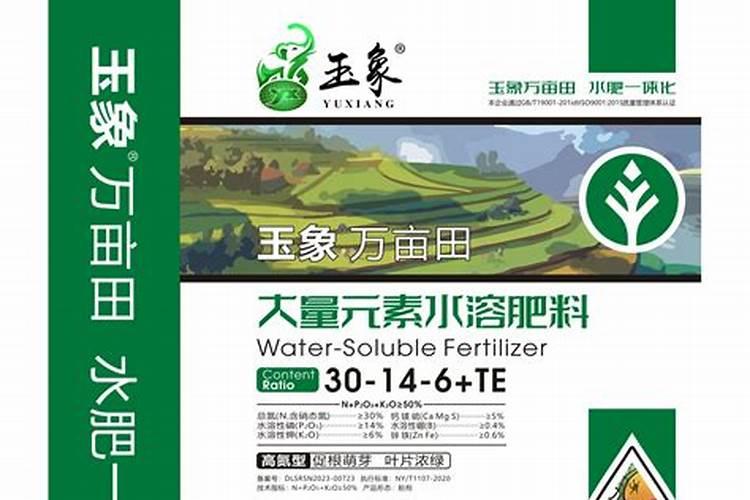 质粒DNA转化大肠杆菌感受态细胞再热激以后进行活化培养,这时培养基为 ...