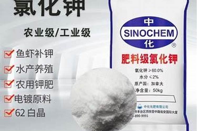 ...水培并不难,掌握种植技巧很简单:如何才能种好水培蔬菜？