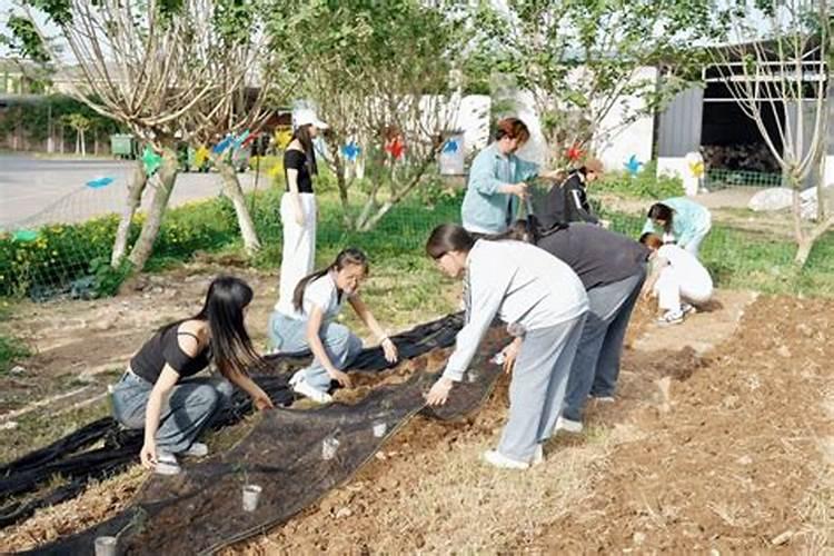 怎么改良土壤种草坪