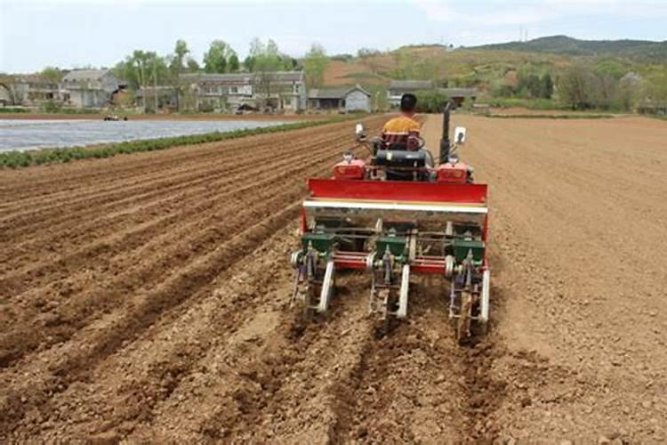 什么家肥含有钙元素最多