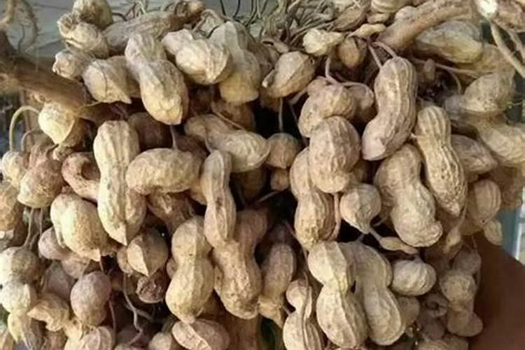 合理的施肥有利于花生生长,花生种植需要施钙肥吗？