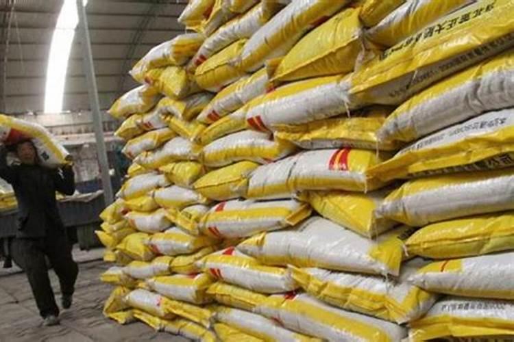 栗子怎样储存硼肥如何正确使用 栗子怎样储存硼肥怎样正确使用