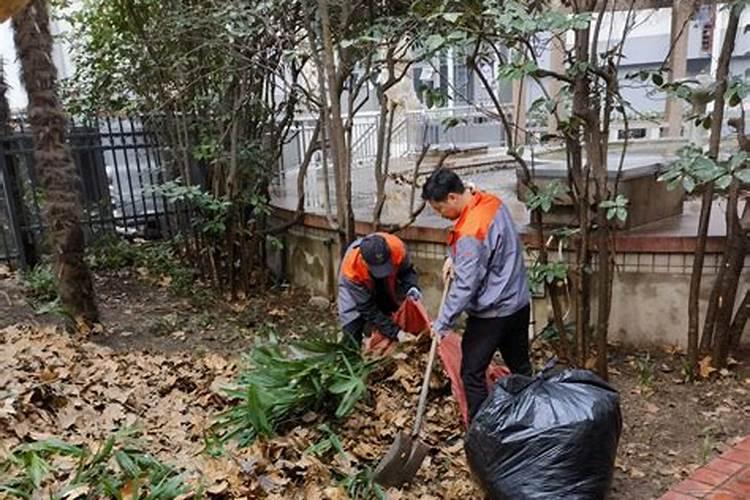 落叶直接埋土里能做肥料吗 树叶如何发酵做成养花肥料