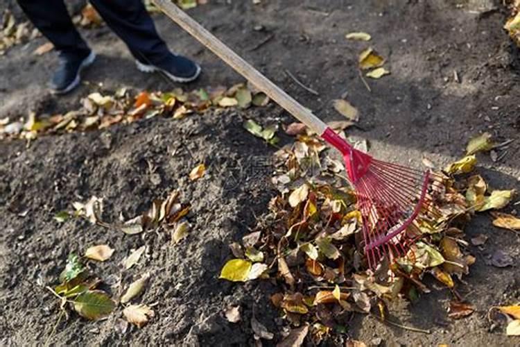 落叶直接埋土里能做肥料吗