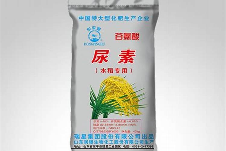 水稻秧苗什么时候施首次肥比较好？