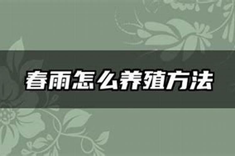 香樟树叶子发黄怎么办
