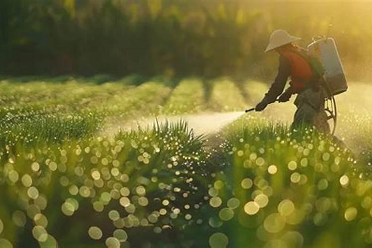 用多菌灵多久可以用肥料