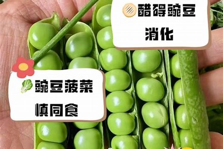 硼对滴灌作物生长的影响是什么？如何科学滴施硼肥？