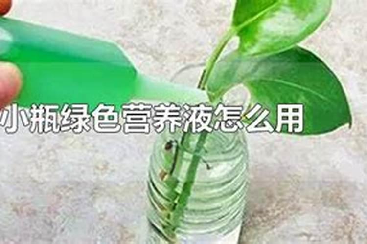 什么花肥好用 养花用营养液好还是肥料好