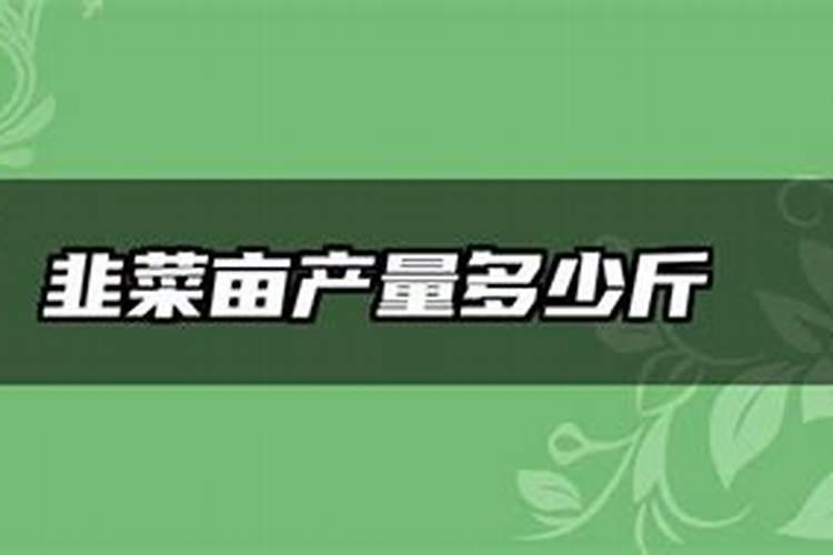 悬浮肥料一亩地冲施多少斤合适