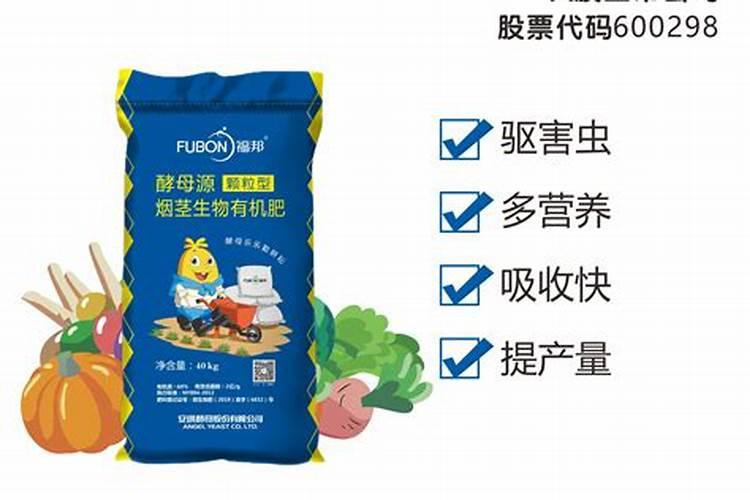 面用酵母源酵母抽提物和啤酒酵母源酵母抽提物有何不同？