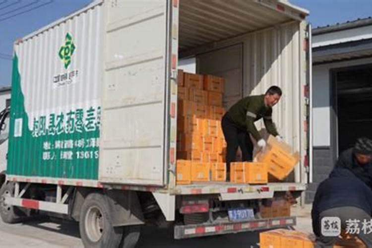 速效氮肥有哪些