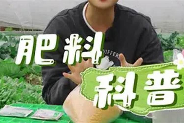 种菜用什么肥料最好