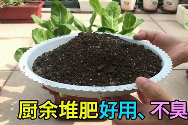 种菜施肥的正确方法