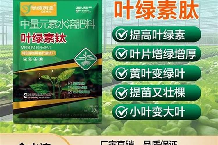 本翠大量元素水溶肥多少钱一吨