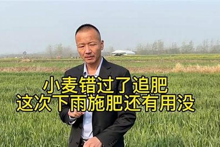 为什么要用剧毒农药种姜？