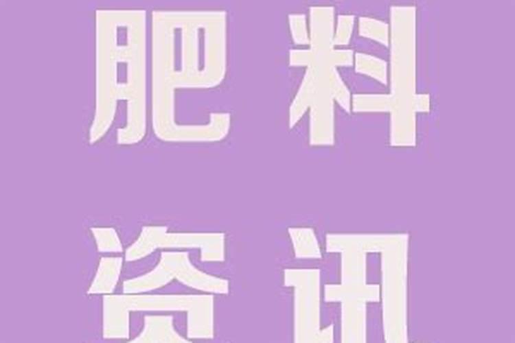草莓缺钙冲施什么肥料