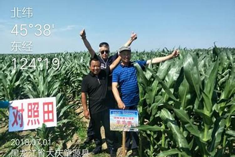 哪些属于磷钾肥