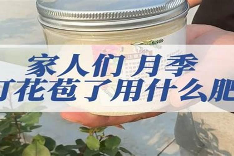 玫瑰喜肥吗 喜欢施什么肥料