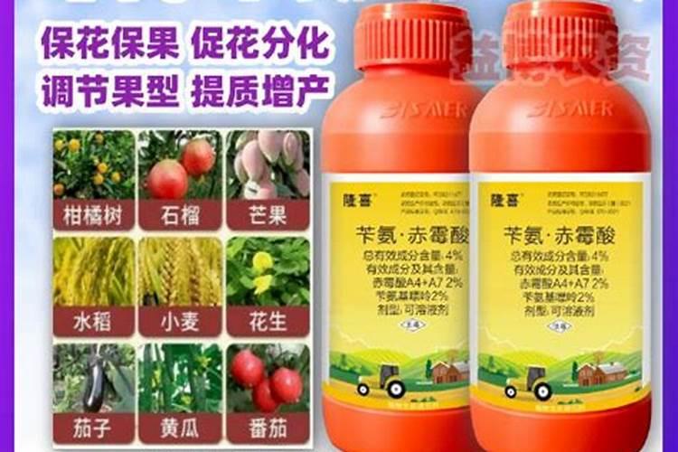 氮肥膨果还是钾肥膨果
