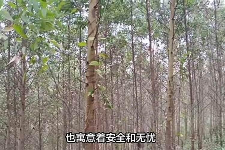 黄腐酸钾适用作物