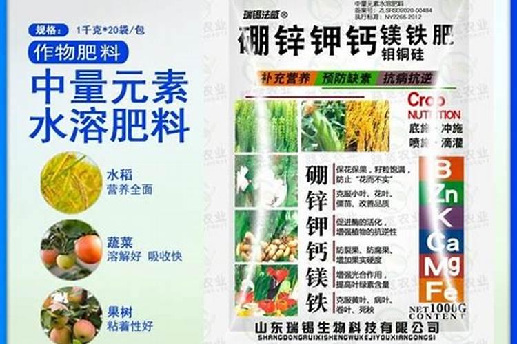 新疆的矿产资源有那些