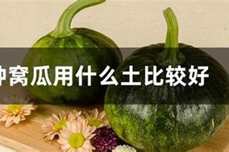 农资商贸连锁公司经营范围怎么写