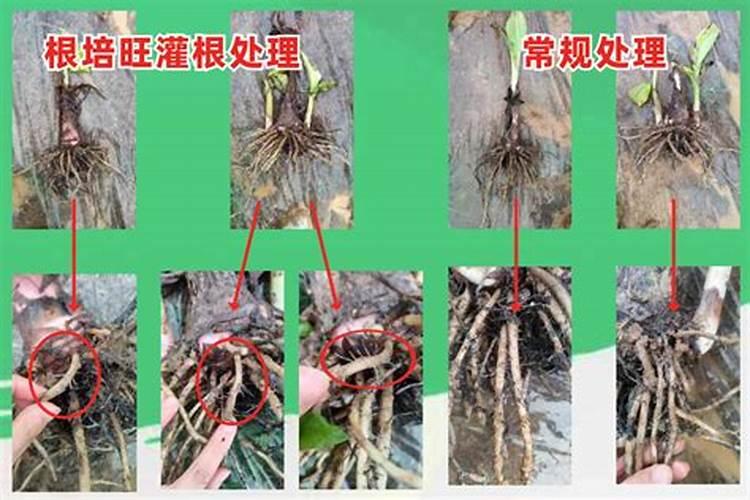 河南省凯达有机肥业有限公司怎么样？