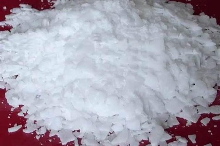 播前小麦种子处理的几种方法 小麦养殖方法