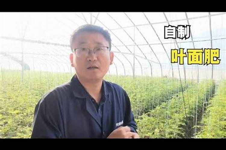磷肥一亩地用多少
