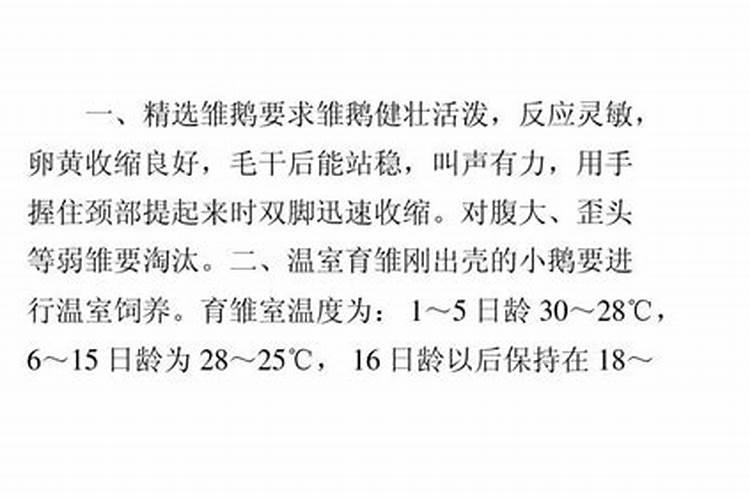 李子树施冬肥什么肥最好？