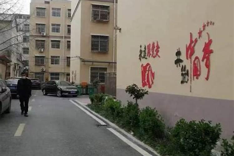 云南省玉溪市新平县适宜种植黑珍珠樱桃吗？