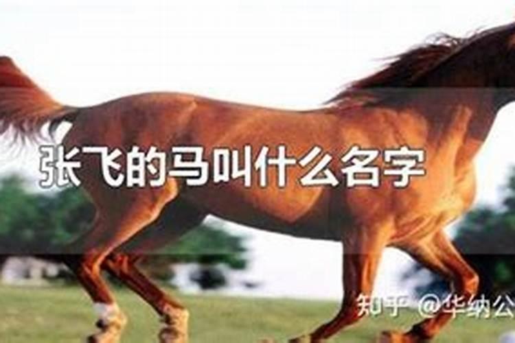飞天马复合肥是进口的吗？