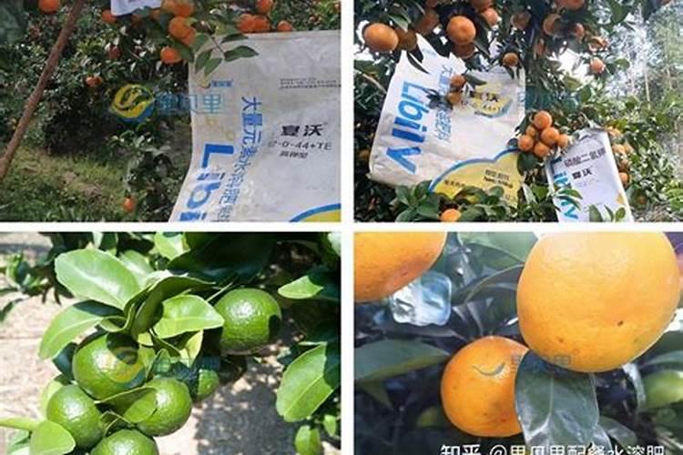 ...柑橘,设施是滴管,大量元素怎么使用啊？一亩地用多少墨土的水溶肥？