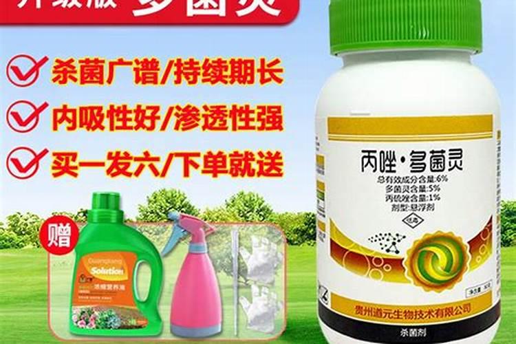 多菌灵是喷叶面还是灌根好,多菌灵的效果