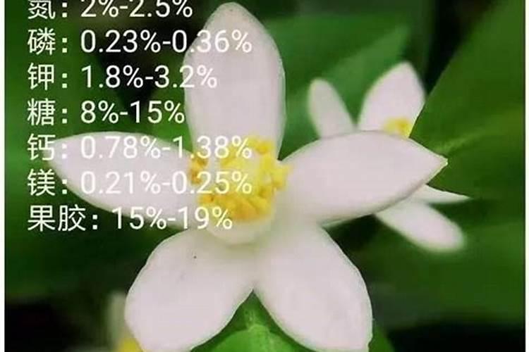 小麦芸苔素能打棉花吗