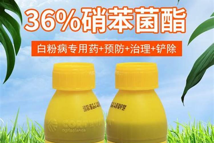 甜瓜立枯病用什么最好