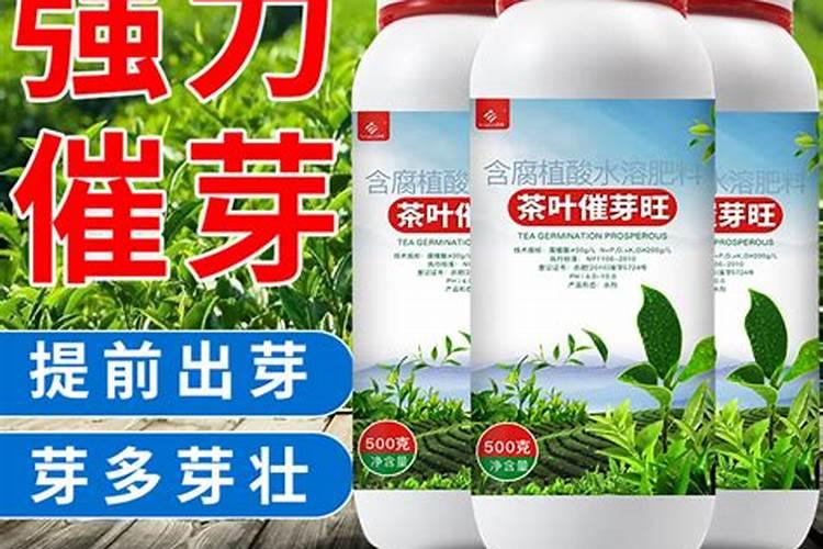 绿化树苗需要什么肥料快成长？