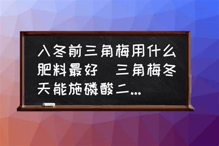 三角梅什么时间施肥好？