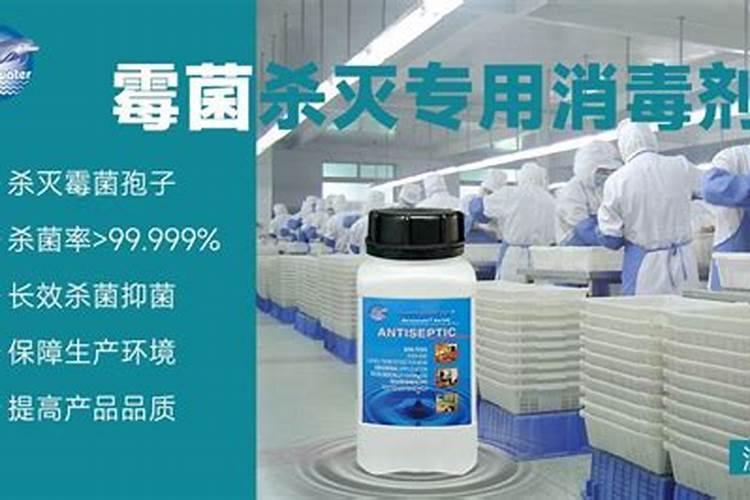 茶花用什么肥料好